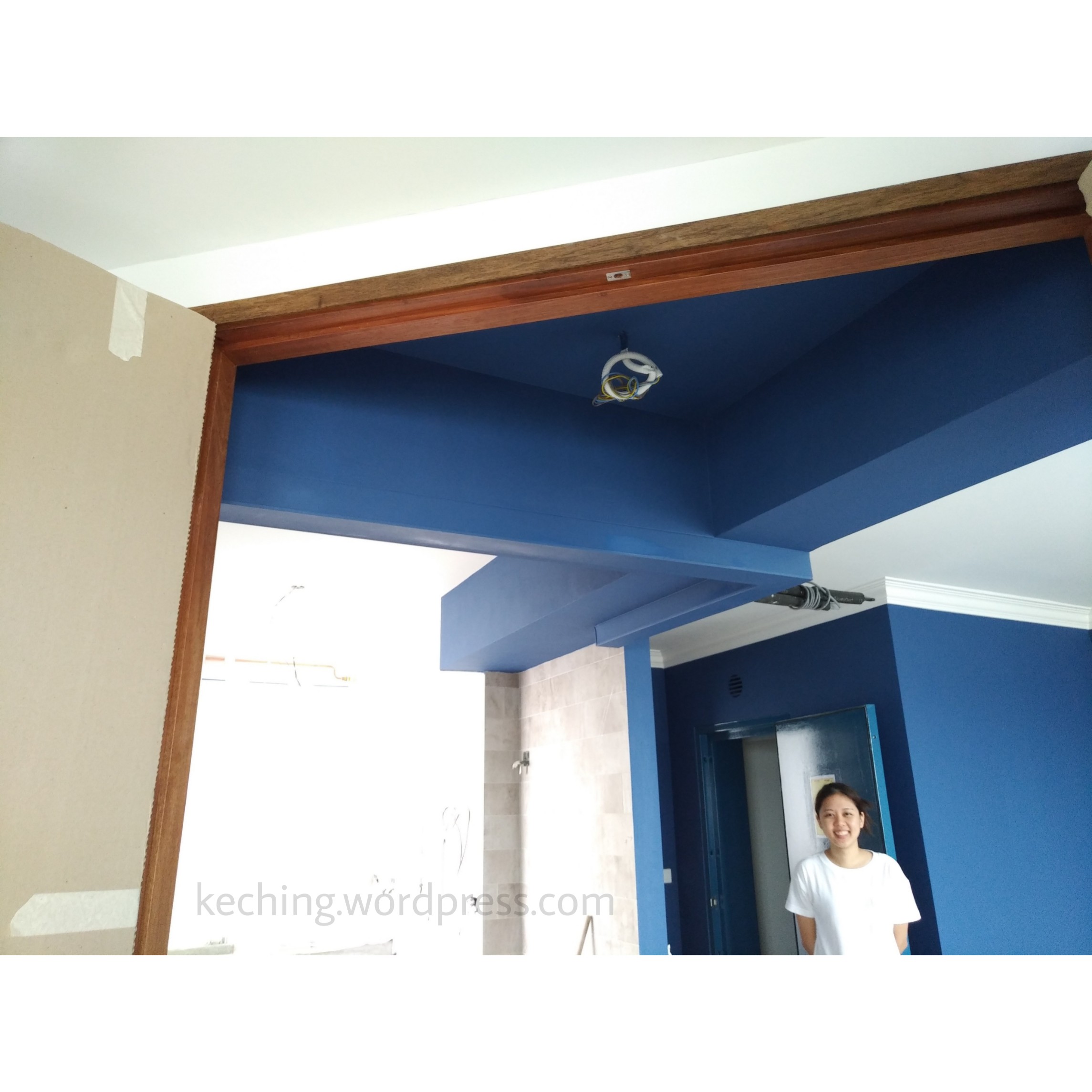 blue walls living room