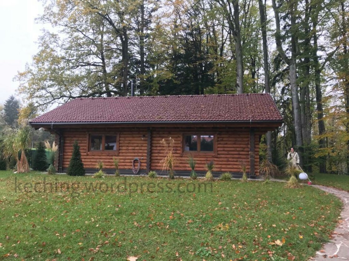 log cabin interior design ideas