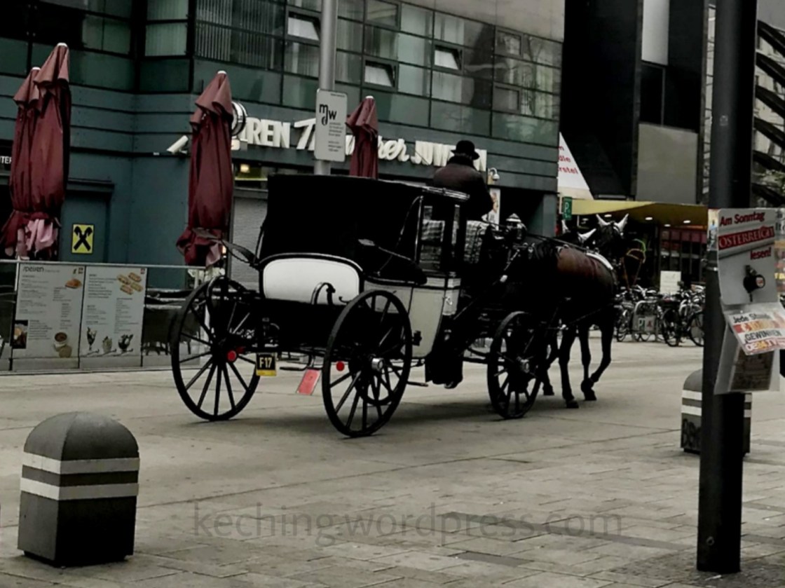 horse carriage vienna