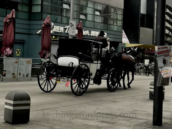 horse carriage vienna
