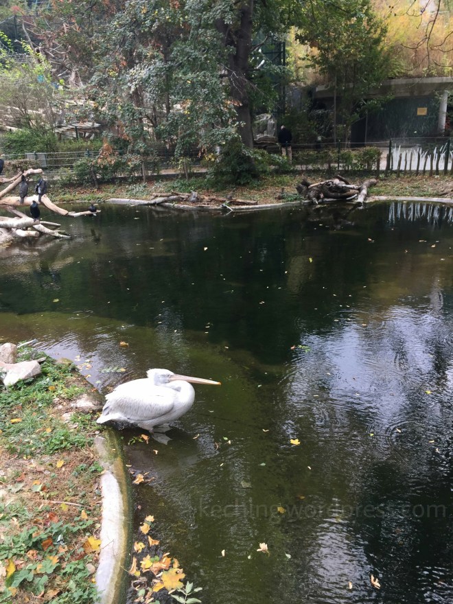 oldest zoo in the world