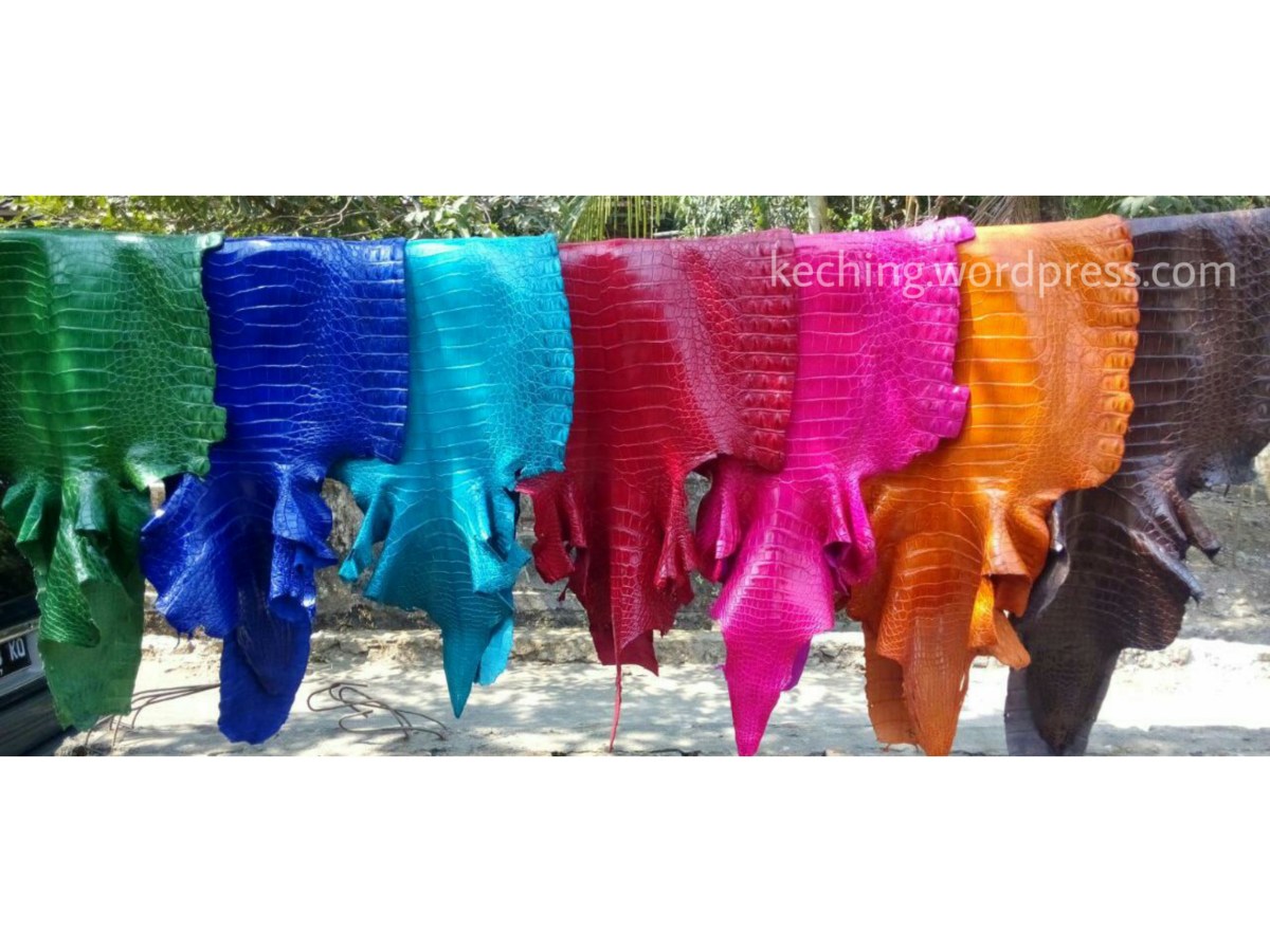 Crocodile skin products