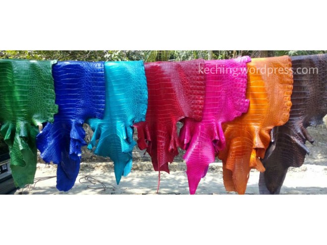 crocodile skin products singapore