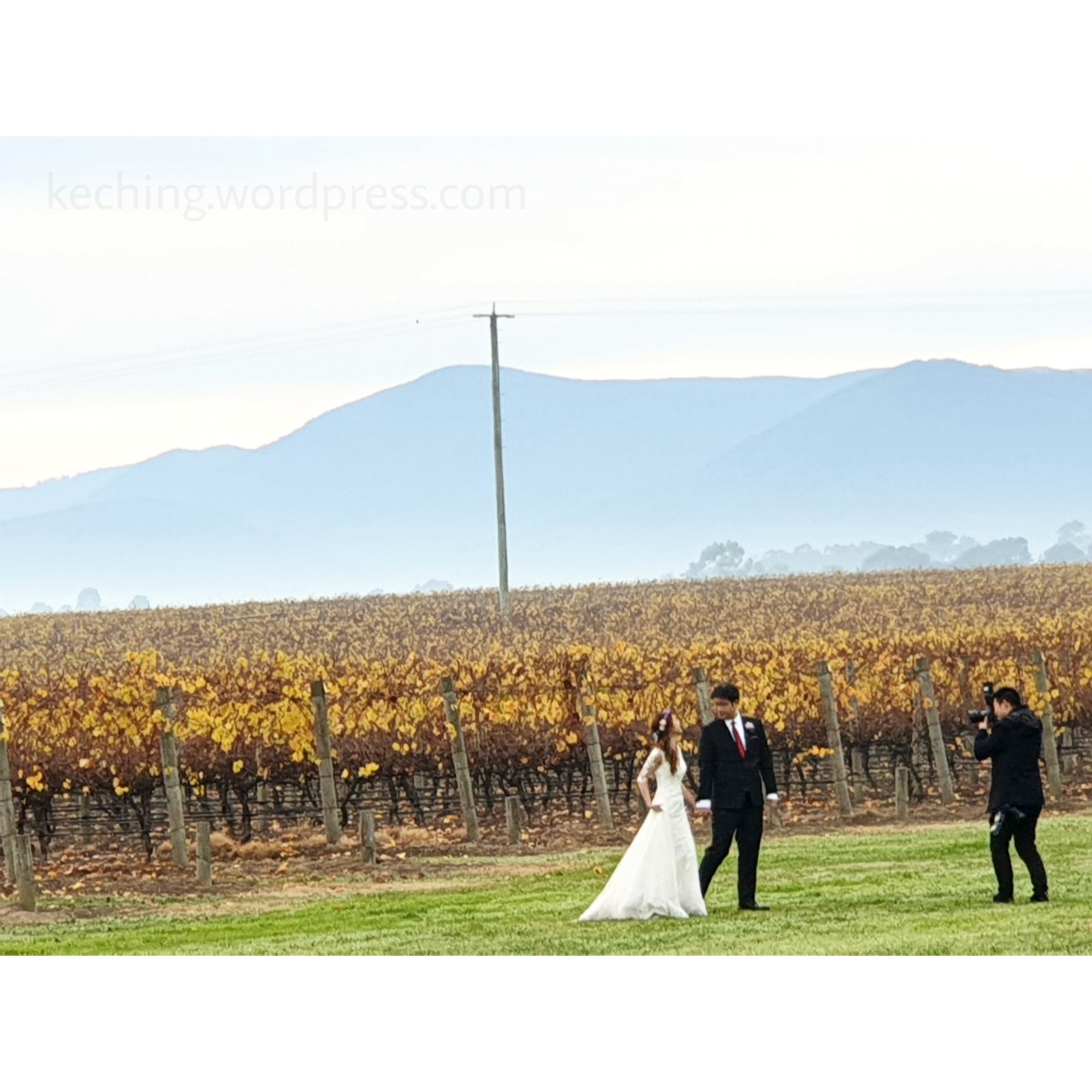 stones of the yarra valley wedding photos