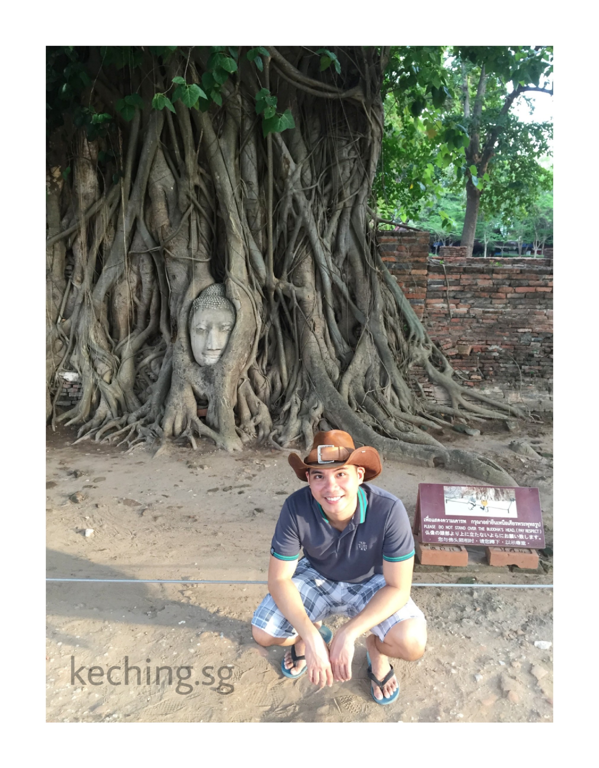 ayutthaya head in tree