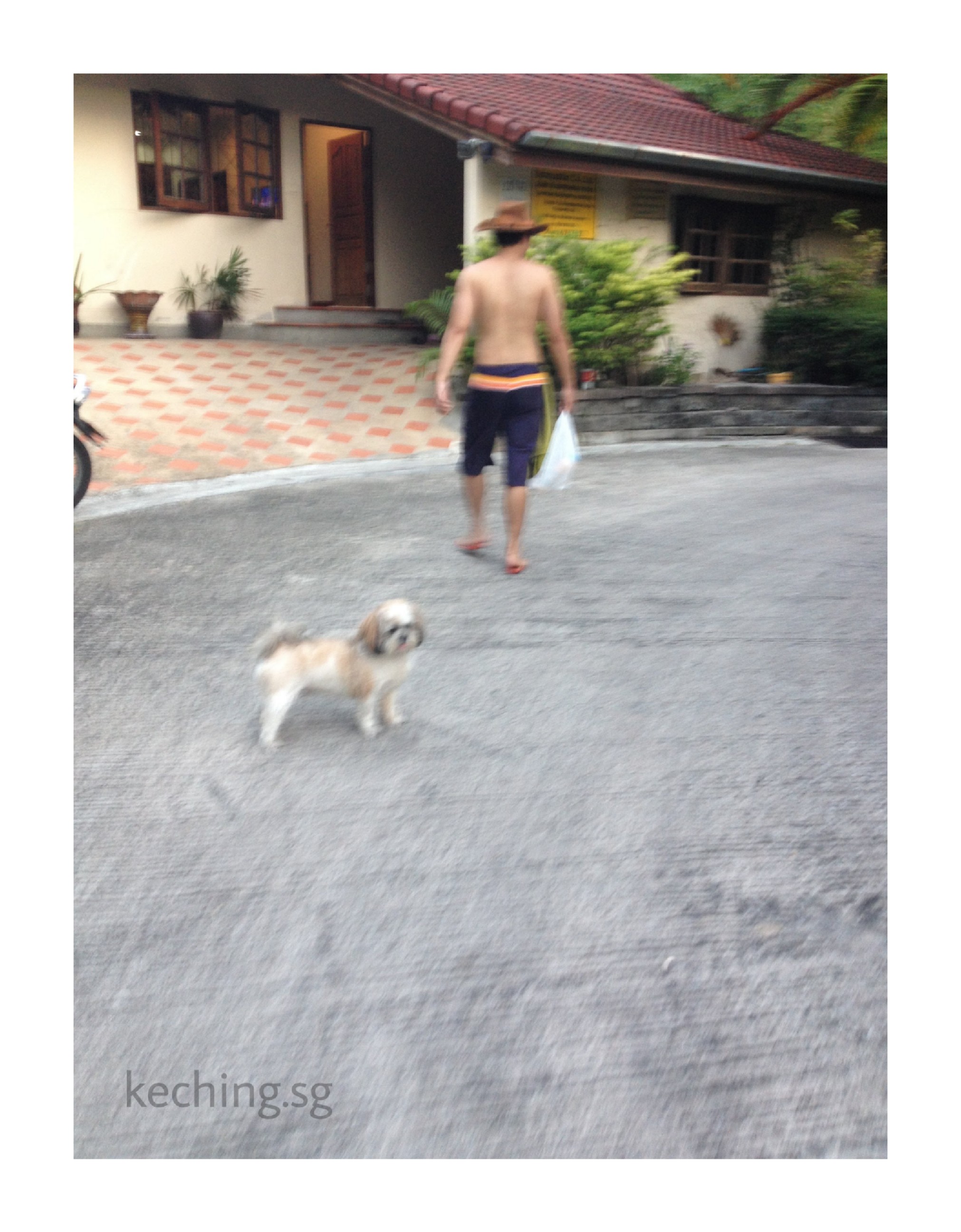 what to do in phuket