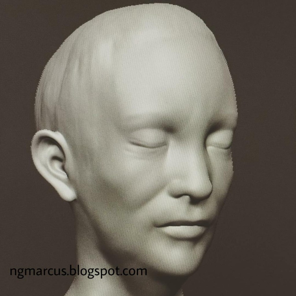 3d human head model