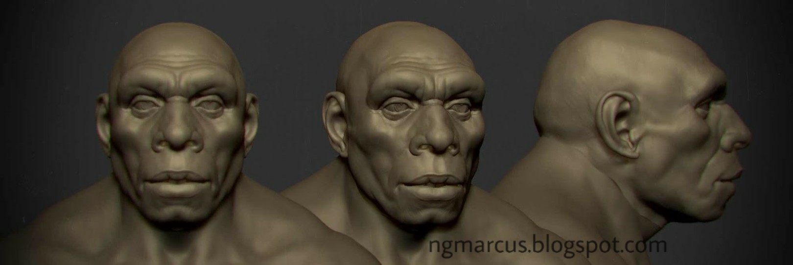 neanderthal face