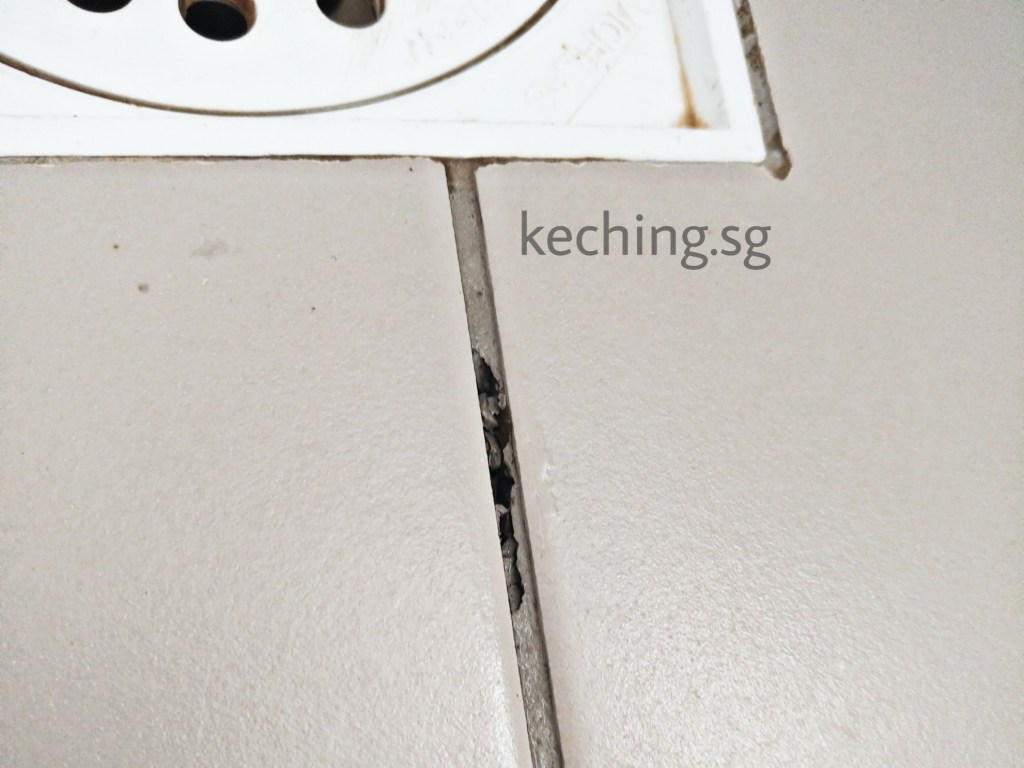 grout repair singapore
