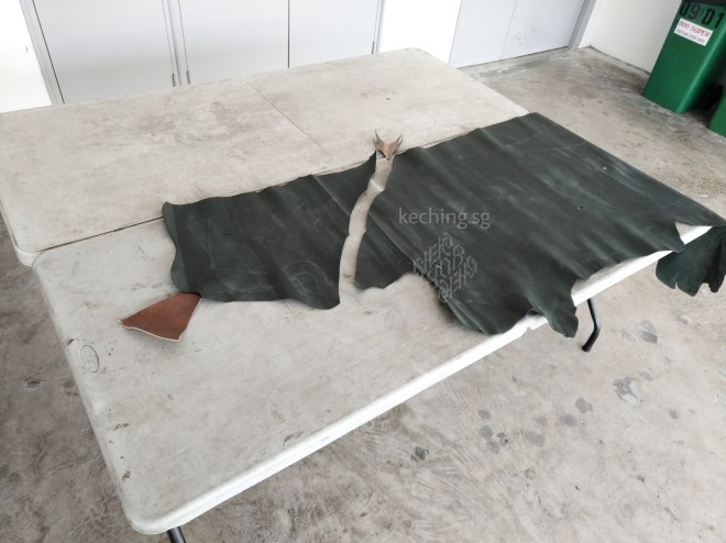 sustainable christmas tree